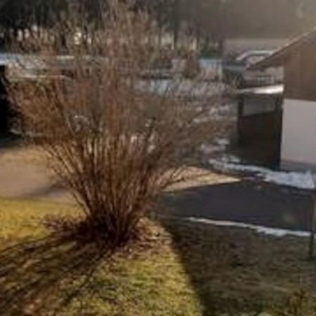 Ferienwohnung Zur Dicken Berta Wolfegg Buitenkant foto