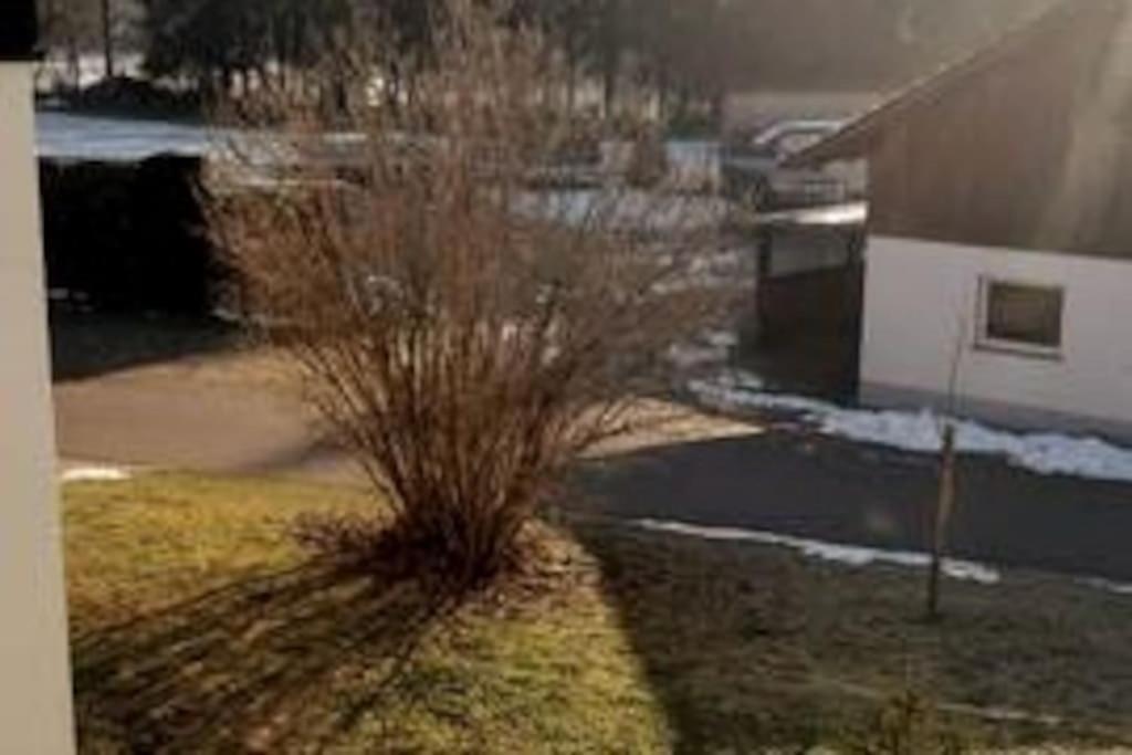 Ferienwohnung Zur Dicken Berta Wolfegg Buitenkant foto