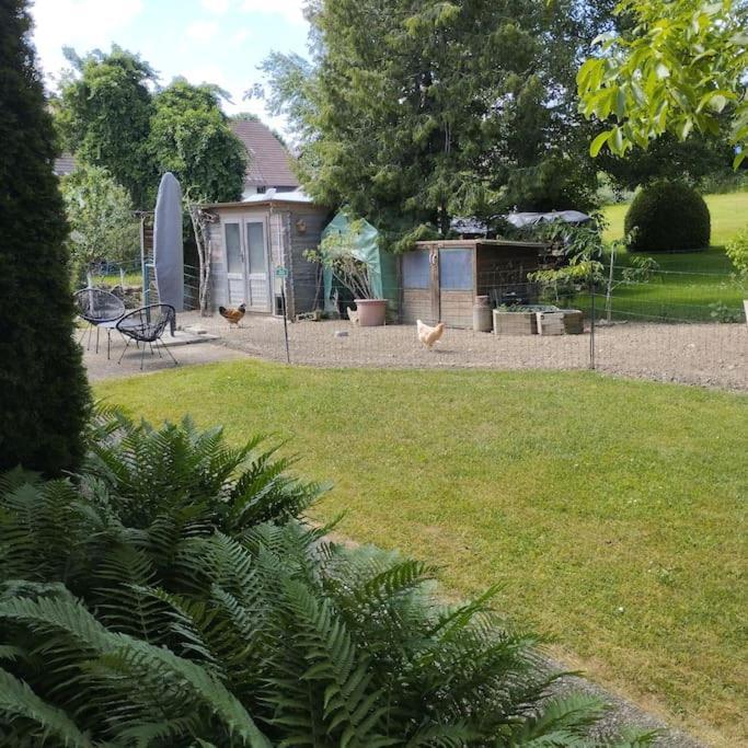 Ferienwohnung Zur Dicken Berta Wolfegg Buitenkant foto